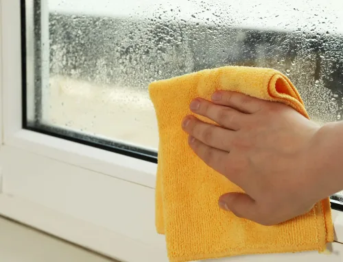 Damp vs. Condensation