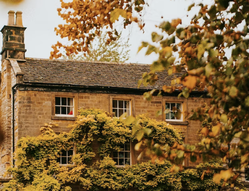 What Will Your RICS Home Survey Really Cost in 2025?